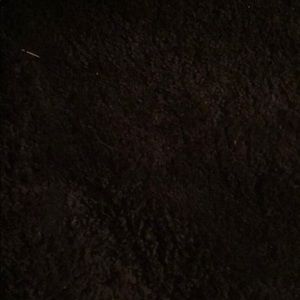 Meet your Posher, Rosa